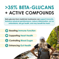 Turkey Tail Mushroom Tablets