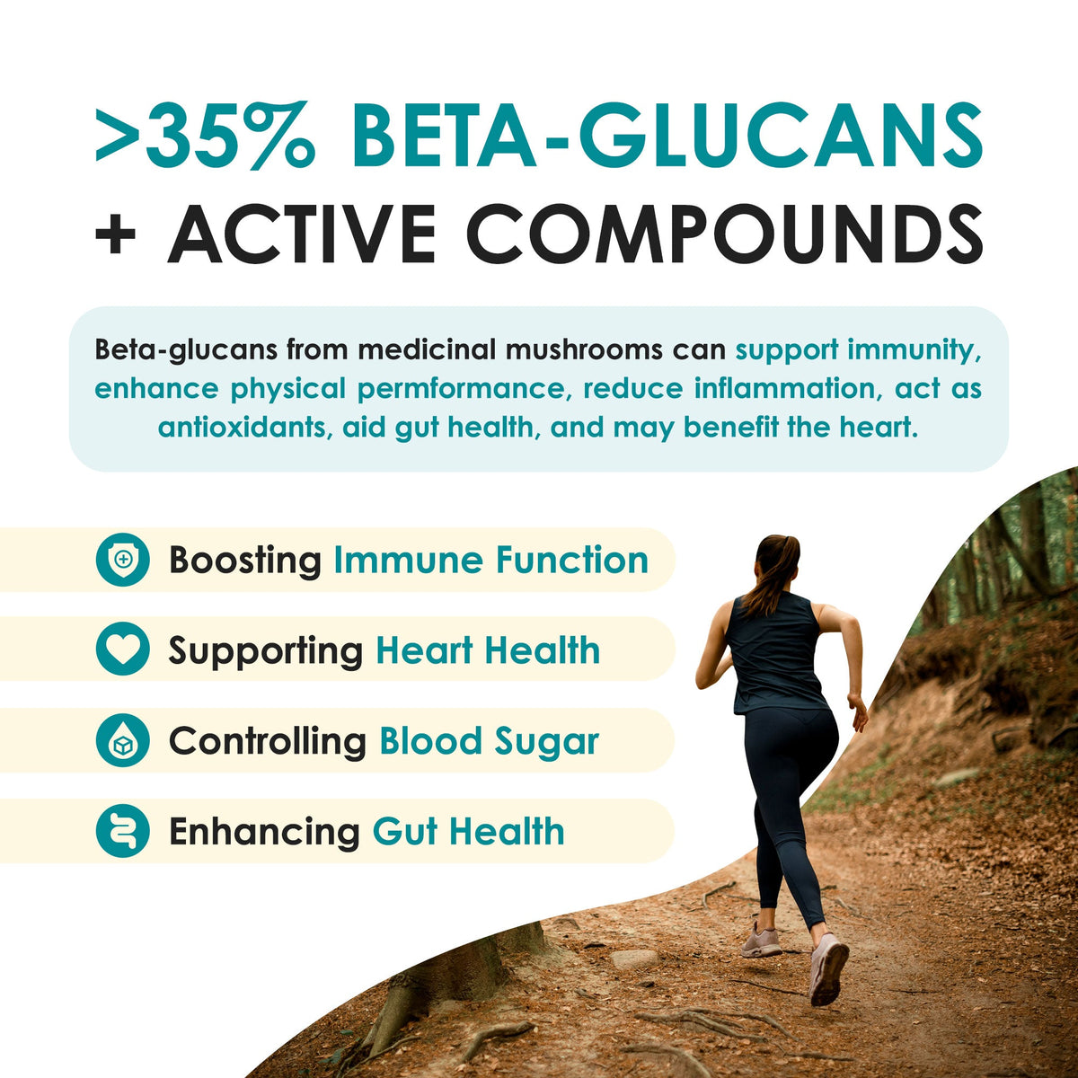 Reishi Mushroom Tablets