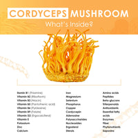 Cordyceps Mushroom Tablets