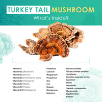 Turkey Tail Mushroom Tablets