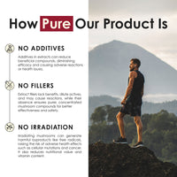 Reishi Mushroom Tablets