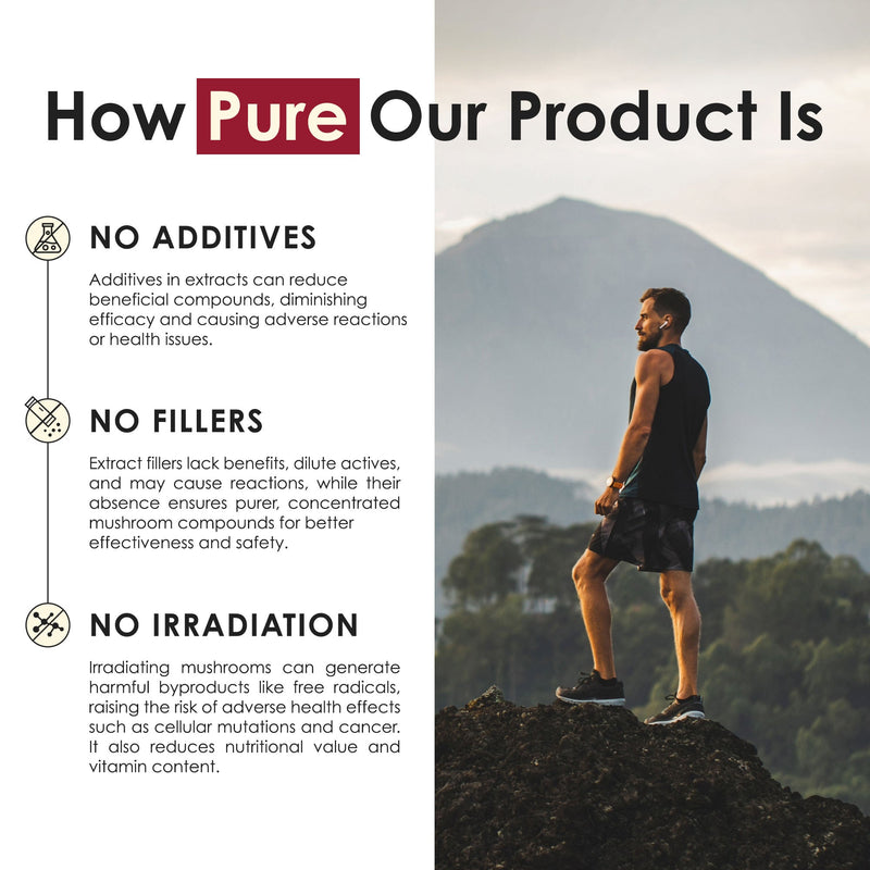 Reishi Mushroom Tablets