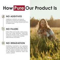 Cordyceps Mushroom Tablets